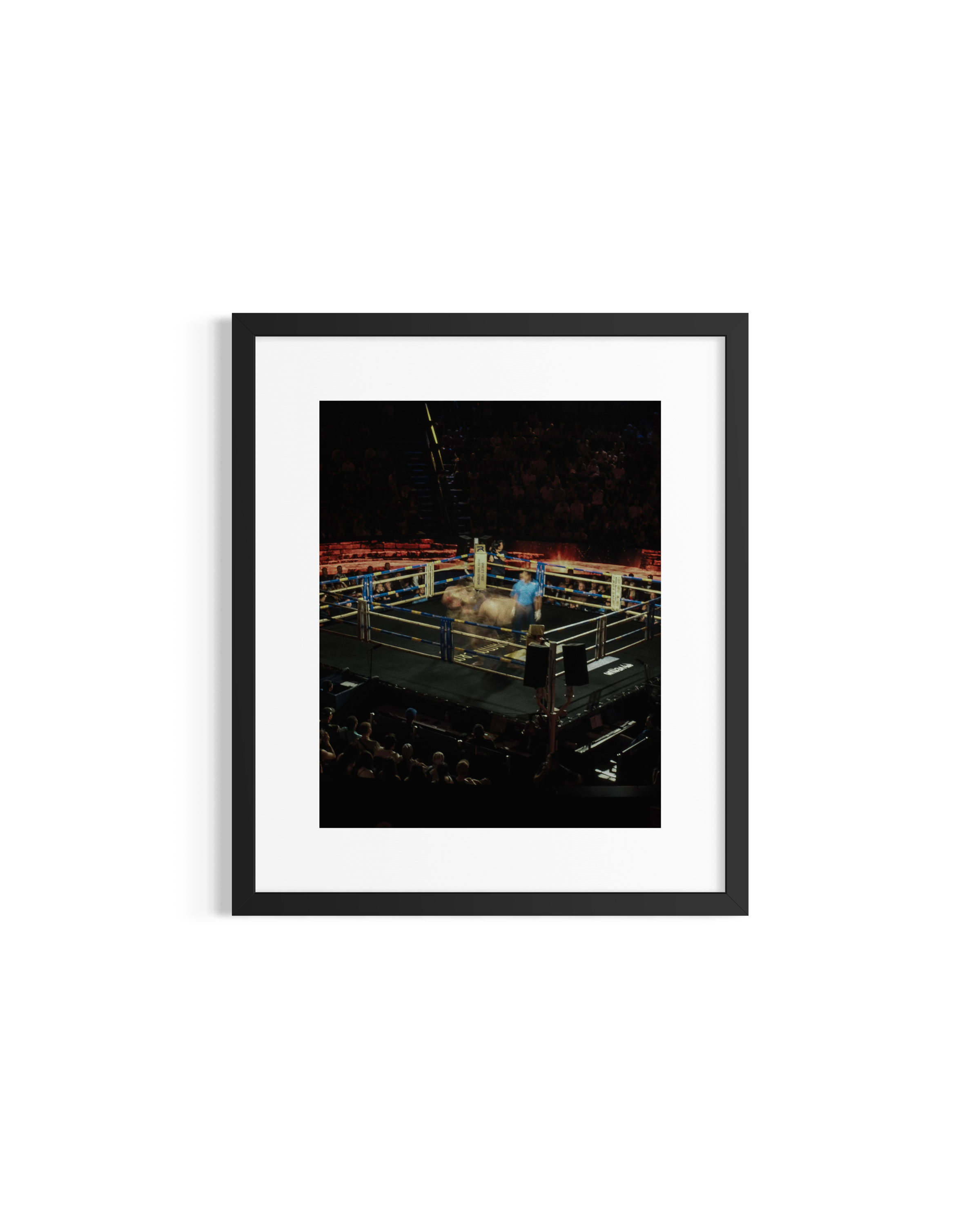 Muay Thai in Motion