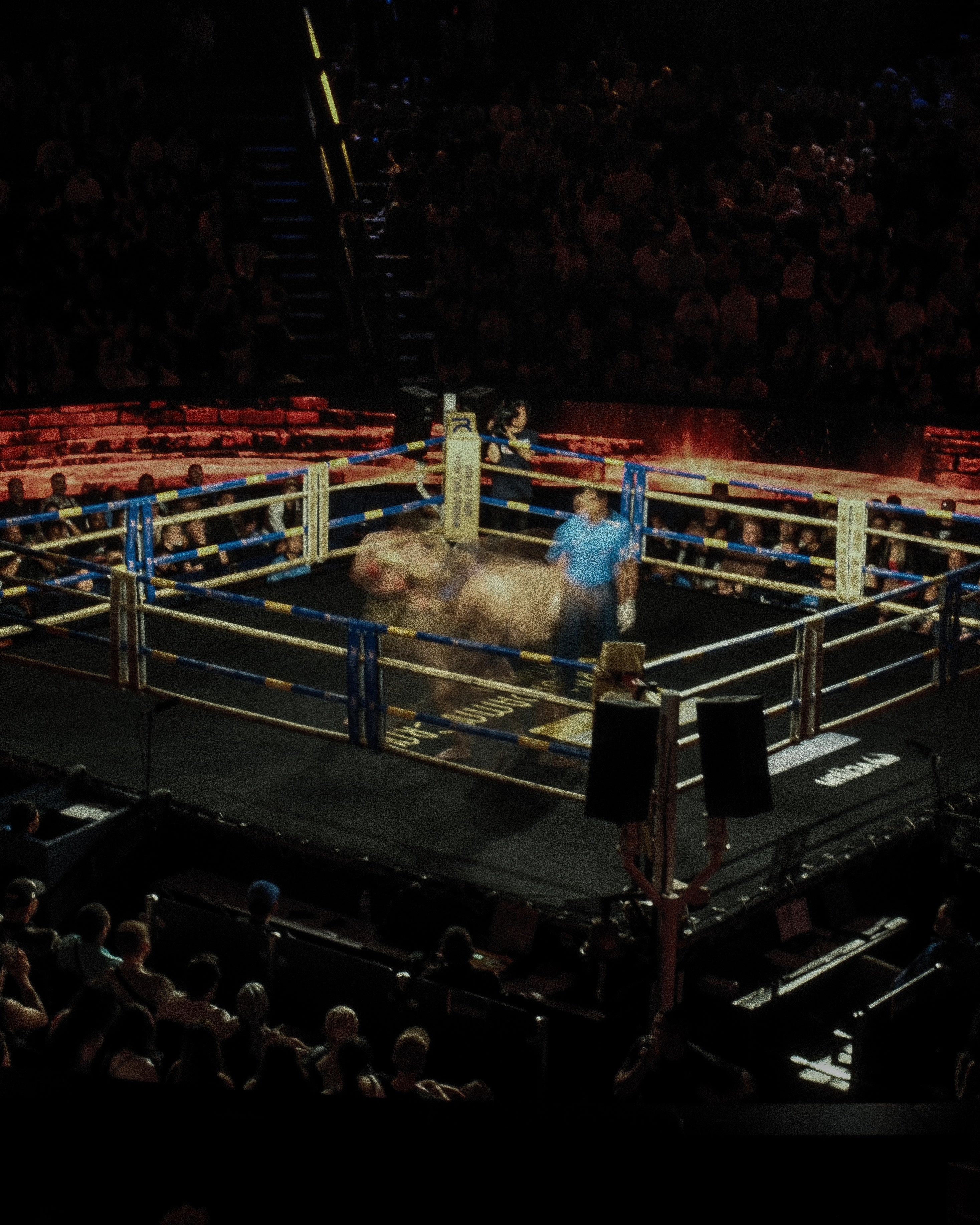 Muay Thai in Motion